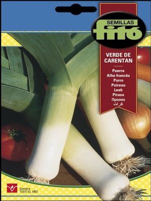 PUERRO LARGO VERDE DE CARENTAN