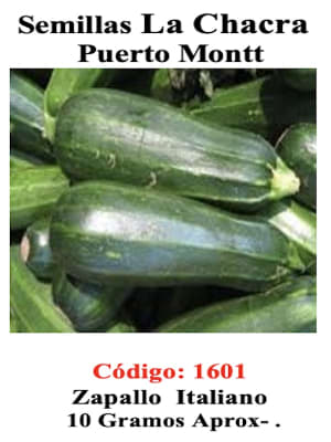 Zapallito Italiano Zuchini. 10 Gramos