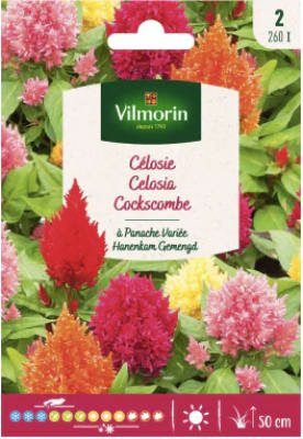 CELOSIA PLUMOSA VARIADA 0,4 Gramos.