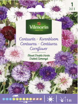 Centaurea Colores Variados