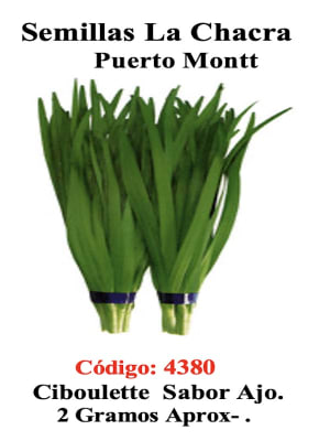 Ciboulette CON SABOR A AJO.