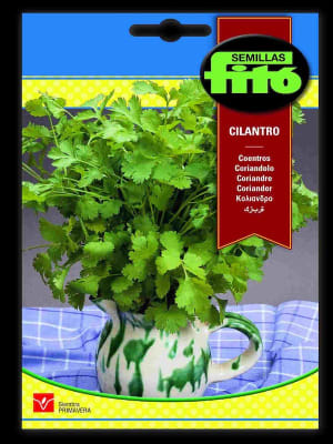 CILANTRO COMUN 20 GRAMOS