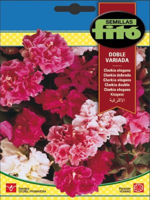 CLARKIA DOBLE VARIADA