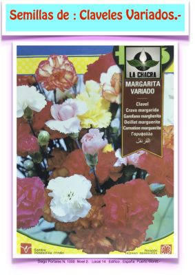 CLAVEL MARGARITA VARIADO