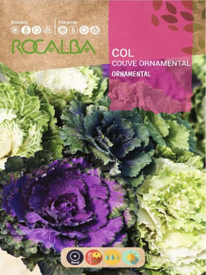 Col Ornamental, Semillas