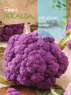 Coliflor  Catanese, Semillas