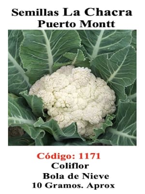 Coliflor Cuatro Estaciones. Sobre 10 Gramos