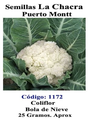 Cuatro Estaciones. Sobre 25  Gramos