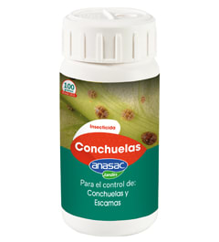 Conchuelas 100 Gramos