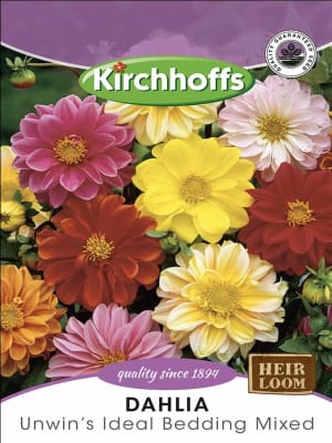 Dahlia Alta Colores Variados