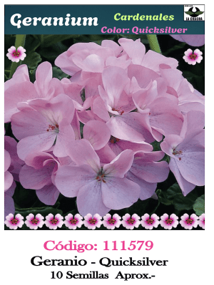 GERANIO Color: Quicksilver