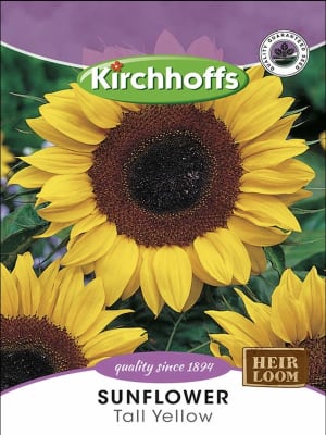 Girasol amarillo Gigante