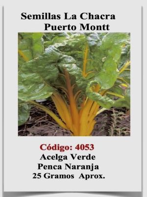 Acelga Verde Penca Naranja 25 Gramos