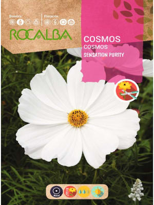 COSMOS  Blanco