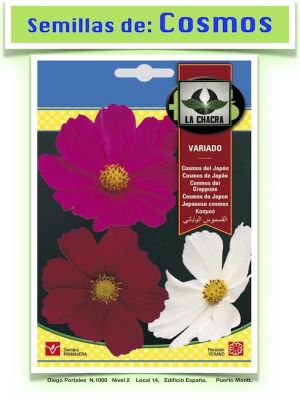 COSMOS DEL JAPON VARIADO