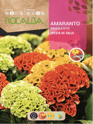 Amaranto Cresta de Gallo. Variado 2 G.