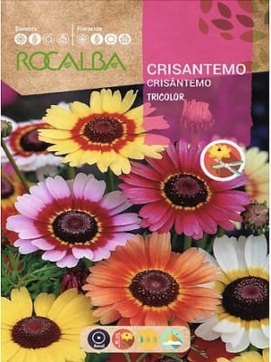 CRISANTEMO Tricolor Colores Variados.5  Gramos.