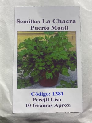 Perejil Liso de Italia.  10 Gramos