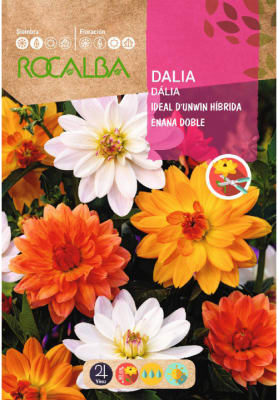 Dalia Ideal Enana Doble Variada