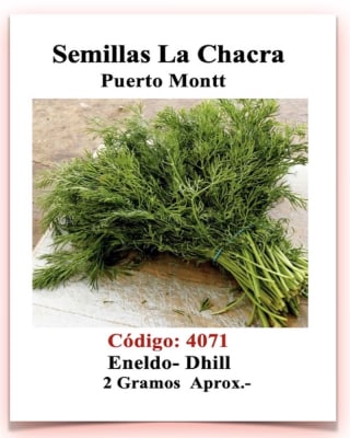 ENELDO - Dhill   Sobre 2 Gramos