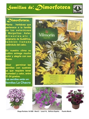 DIMORFOTECA /(Vilmorin)