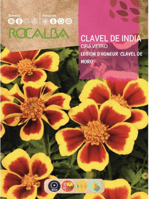 Tagete Clavel de la India , Enano. sobre 4 Gramos