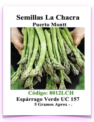 ESPARRAGO UC 157 F-2 HIBRIDO 5 Gramos