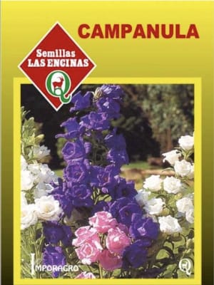 Campanula (farolito)