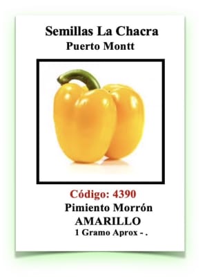 Pimiento Morrón Amarillo