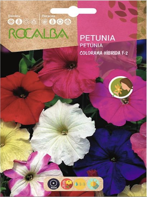 PETUNIA Colorama Híbrida F-2 Variada.