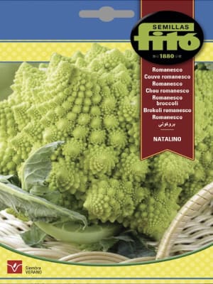BROCOLI ROMANESCO  4 GRAMOS