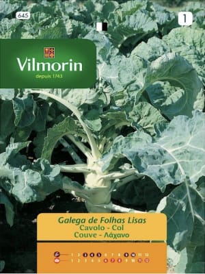 Kale Verde. Col Lisa