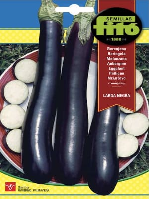 BERENJENA LARGA NEGRA