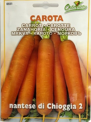 ZANAHORIA NANTESA de Chioggia 2  Gramos