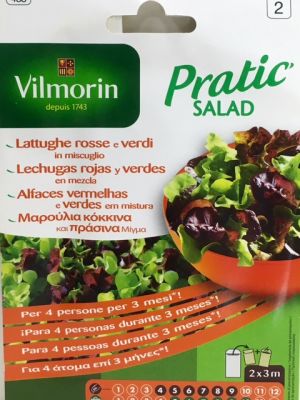 MEZCLA DE LECHUGAS ROJAS