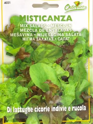 MEZCLA ENSALADAS ORTOVIVO