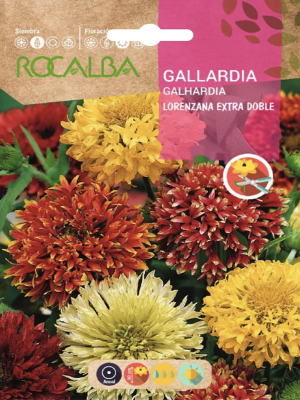 Gallardia Lorenziana Extra Doble