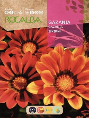 Gazania Sunshine Colores Variados