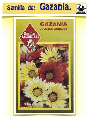 Gazania Sunshine Doble Variada