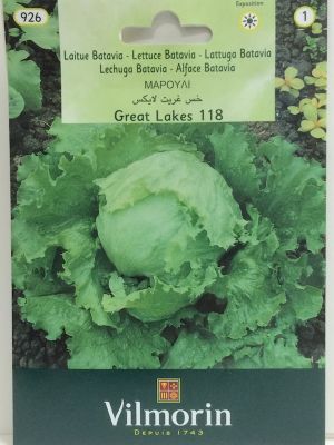 LECHUGA GREAT LAKES 118 2,5 Gramos.