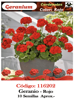 GERANIO. Color Rojo