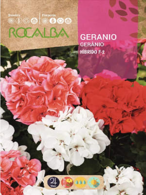 GERANIOS Híbridos Colores Variados