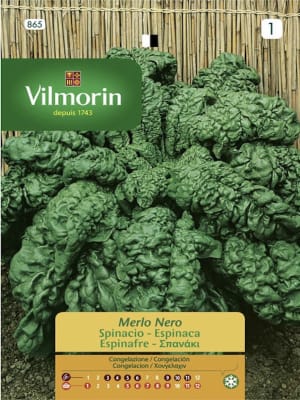 Espinaca Merlo Nero
