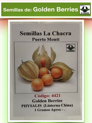 Golden Berries Physalis ( Linterna China )