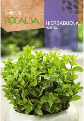 Hierbabuena, Semillas