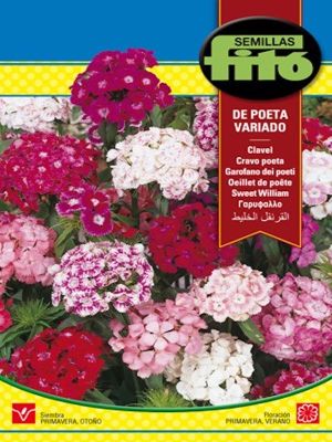 CLAVEL DEL POETA, VARIADO