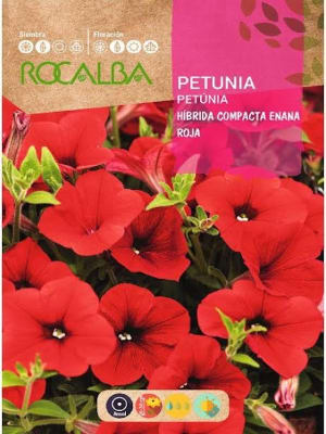 PETUNIA Híbrida Compacta Enana Roja.