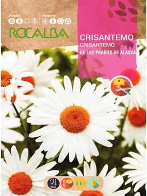 CRISANTEMO De los Prados Blanco
