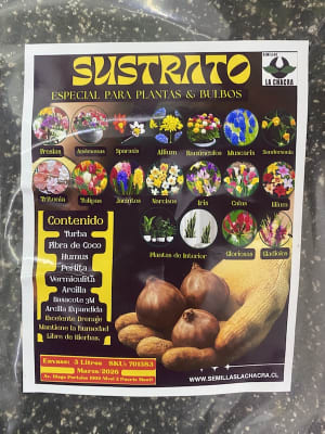 Sustrato Especial Bulbos & Plantas.  Envase  3 Litros.