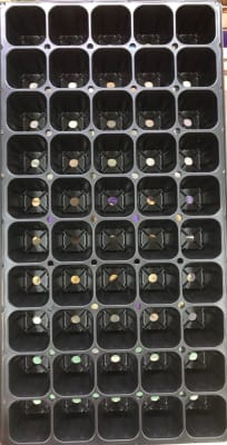 Almaciguera Bandeja 50 CV